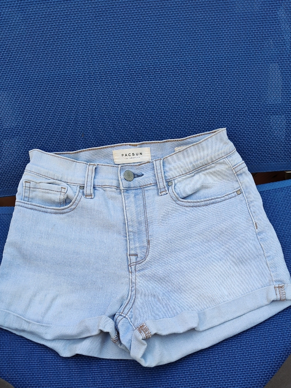 PacSun The Shorie Shorts Size 25